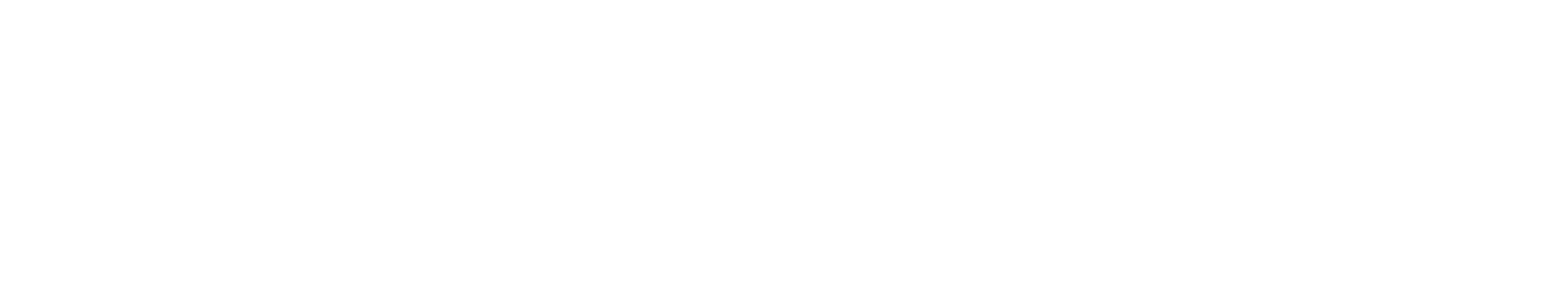 An Gia Group Logo